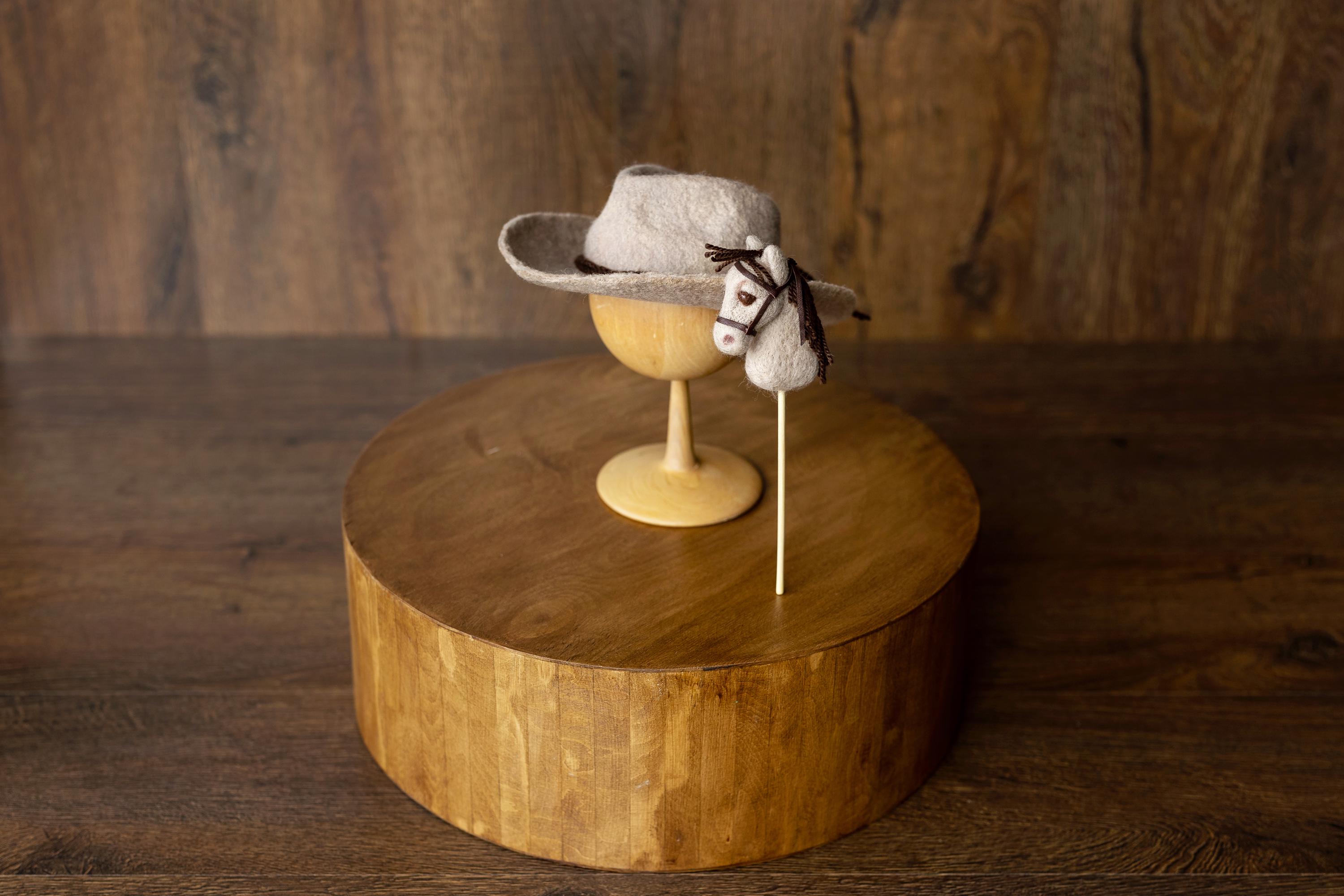 Western Newborn Cowboy Hat and Horse Toy Set, Felted Wool Newborn Photography Props, Baby Cowboy Photo Outfit