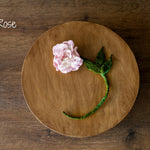 Botanical Felted Wool Flower Stems for Newborn Photography Props, Floral Styling Accessories Photo Props, Felt Flower Decor