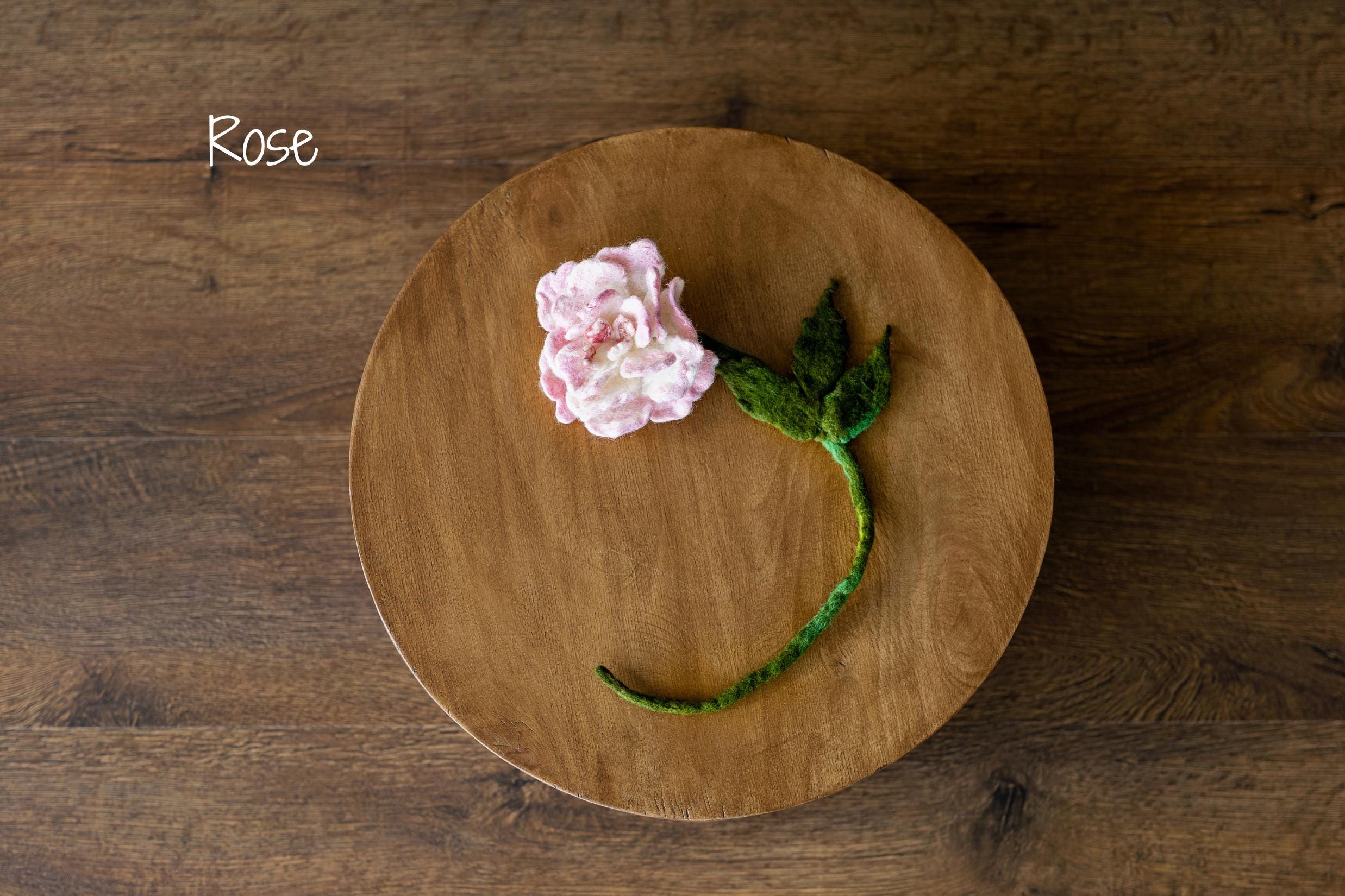 Botanical Felted Wool Flower Stems for Newborn Photography Props, Floral Styling Accessories Photo Props, Felt Flower Decor