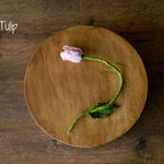 Botanical Felted Wool Flower Stems for Newborn Photography Props, Floral Styling Accessories Photo Props, Felt Flower Decor