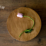 Botanical Felted Wool Flower Stems for Newborn Photography Props, Floral Styling Accessories Photo Props, Felt Flower Decor