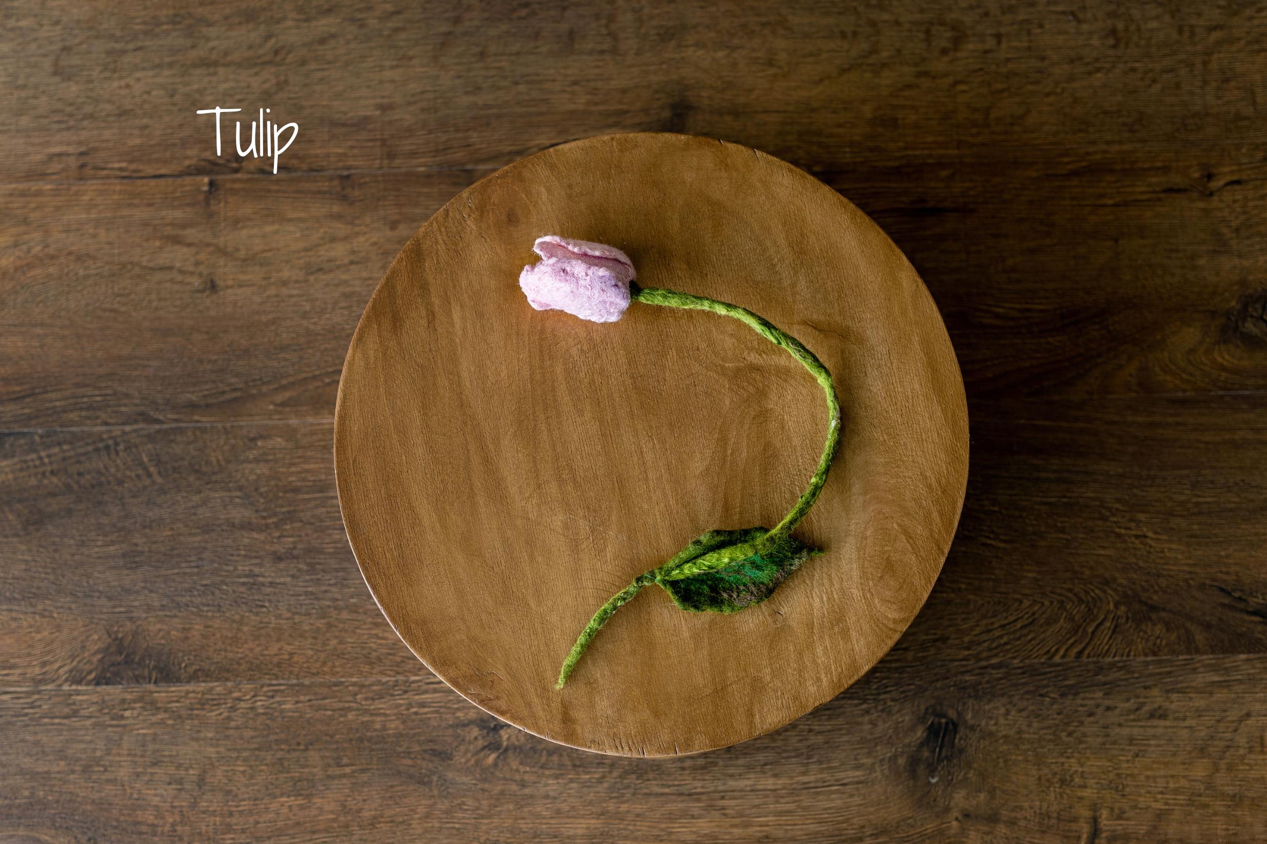 Botanical Felted Wool Flower Stems for Newborn Photography Props, Floral Styling Accessories Photo Props, Felt Flower Decor