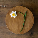 Botanical Felted Wool Flower Stems for Newborn Photography Props, Floral Styling Accessories Photo Props, Felt Flower Decor