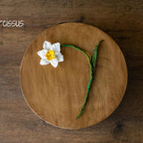 Botanical Felted Wool Flower Stems for Newborn Photography Props, Floral Styling Accessories Photo Props, Felt Flower Decor