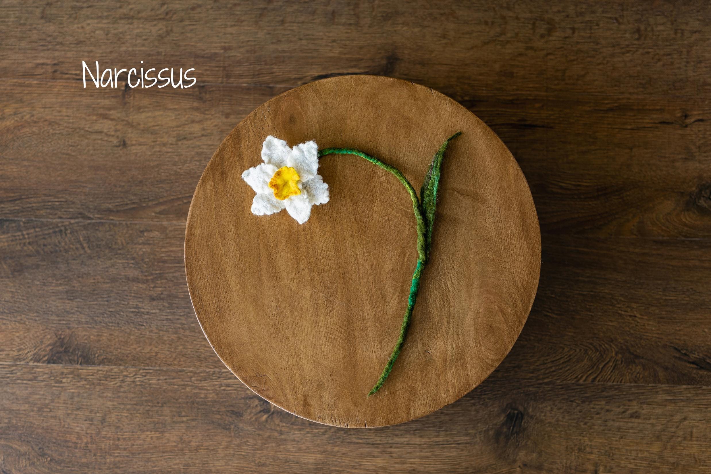 Botanical Felted Wool Flower Stems for Newborn Photography Props, Floral Styling Accessories Photo Props, Felt Flower Decor