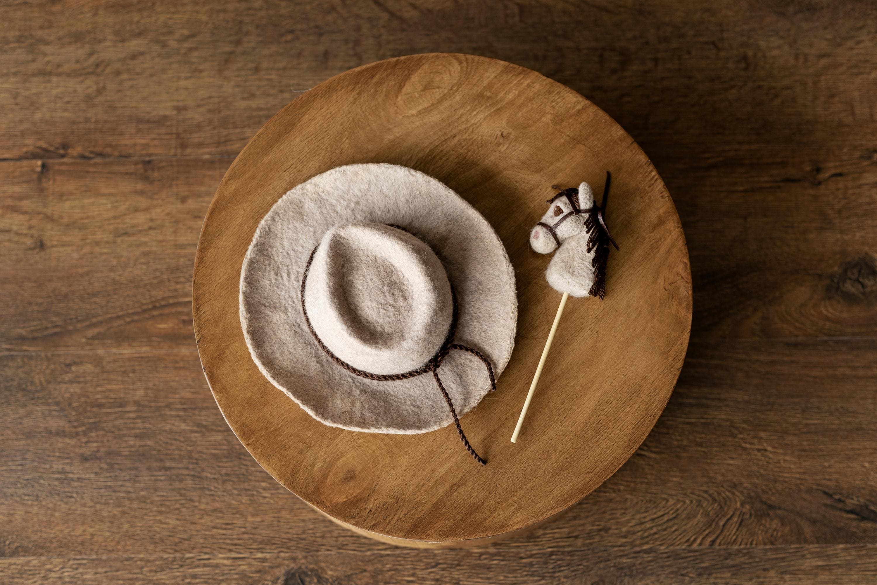 Western Newborn Cowboy Hat and Horse Toy Set, Felted Wool Newborn Photography Props, Baby Cowboy Photo Outfit
