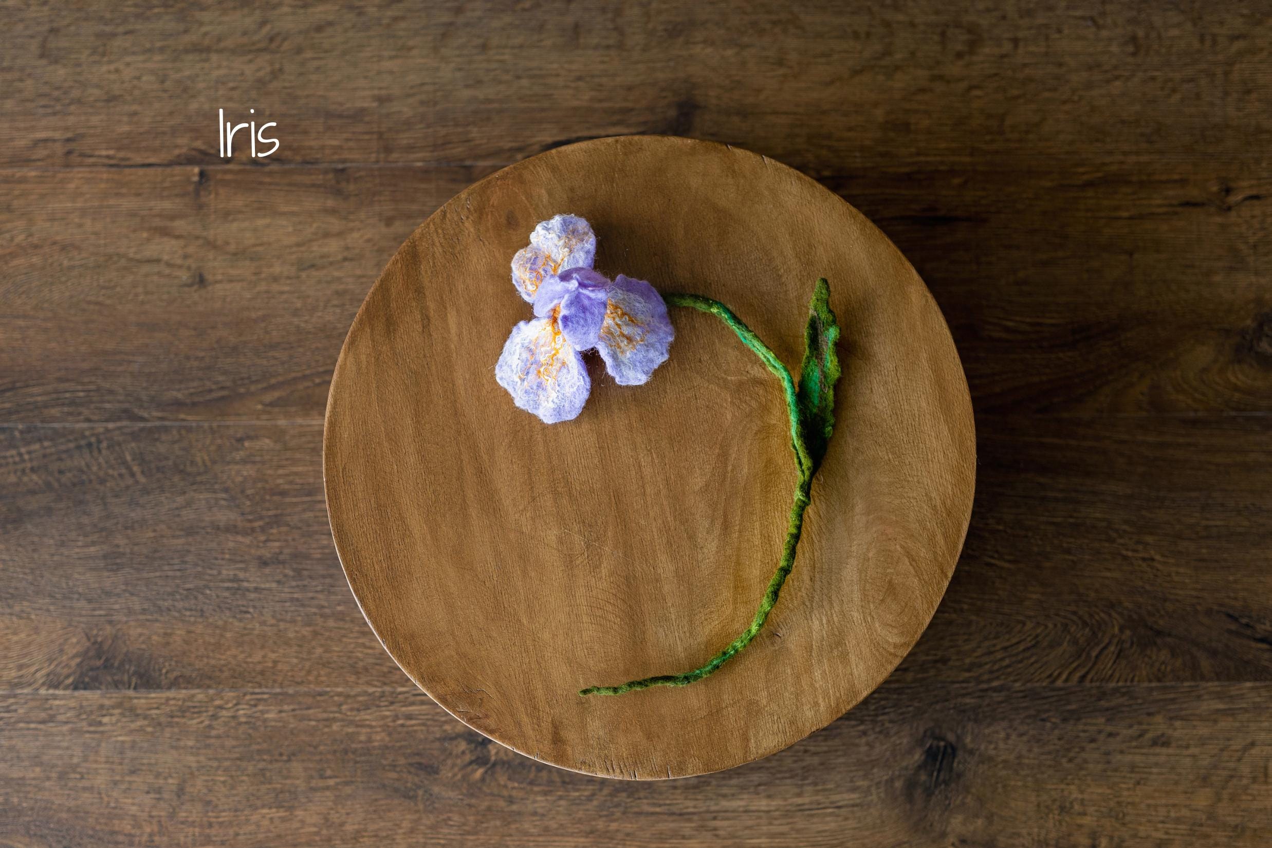 Botanical Felted Wool Flower Stems for Newborn Photography Props, Floral Styling Accessories Photo Props, Felt Flower Decor