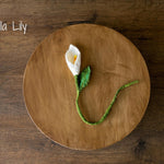 Botanical Felted Wool Flower Stems for Newborn Photography Props, Floral Styling Accessories Photo Props, Felt Flower Decor