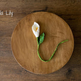 Botanical Felted Wool Flower Stems for Newborn Photography Props, Floral Styling Accessories Photo Props, Felt Flower Decor