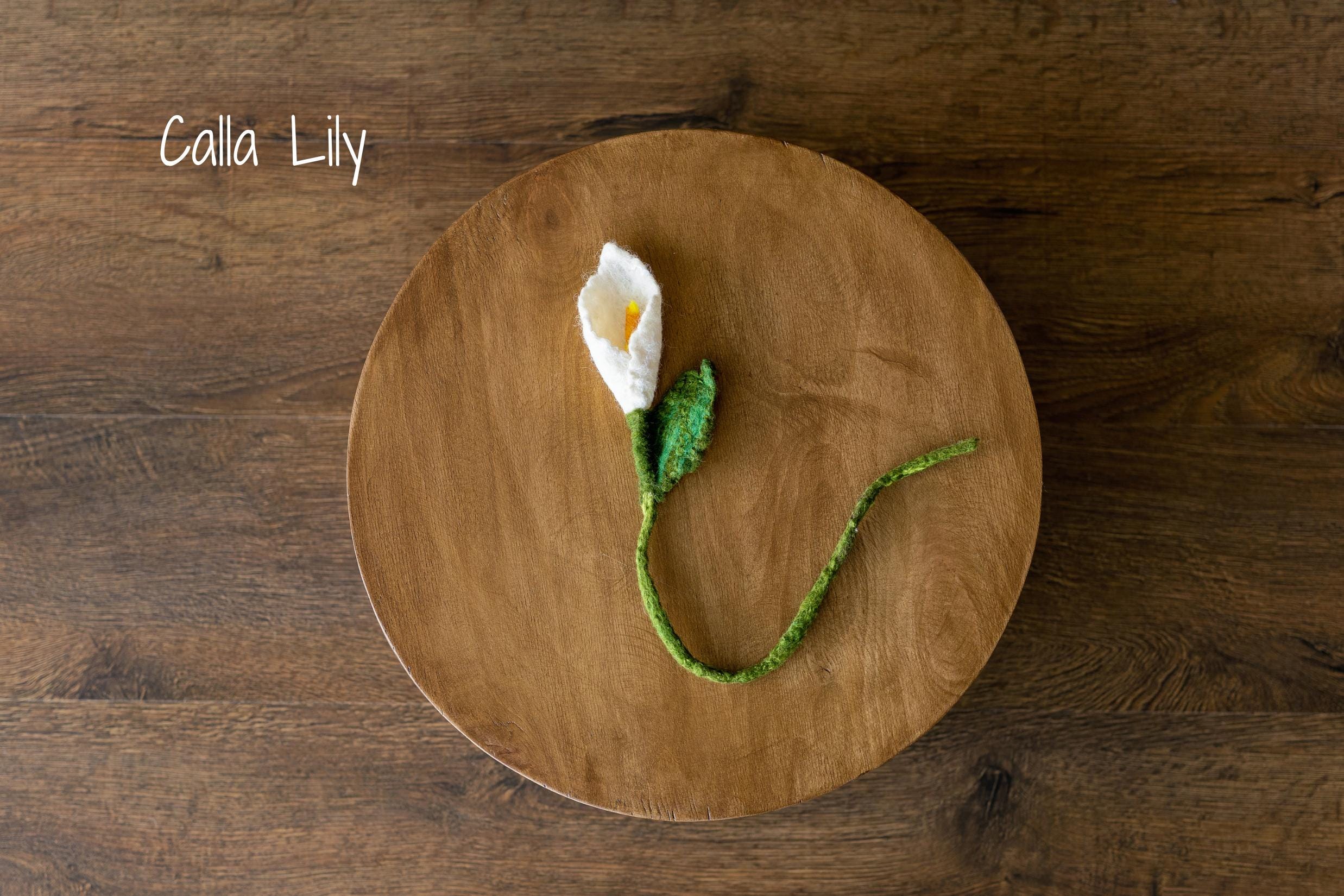 Botanical Felted Wool Flower Stems for Newborn Photography Props, Floral Styling Accessories Photo Props, Felt Flower Decor