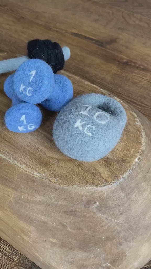 Felt Newborn Sports Props: Baby Dumbbell, Kettlebell and Barbell Toys for Newborn Photo Props