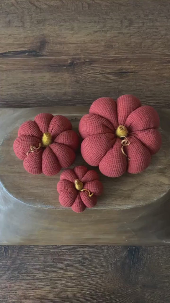 Pumpkin Thanksgiving Gift, Photography Pumpkins Fall Decor Autumn, Newborn Photography Prop, Newborn Fall Photo Props set Halloween Decor